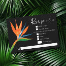 Search for bird wedding rsvp cards Bird of paradise