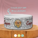 Search for photo pet bowls For pets