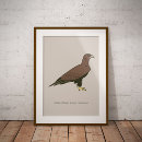 Recherche de oiseau américain posters Rapace
