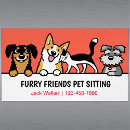 Search for funny office magnets Cats