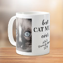 Recherche de chats mignons tasses Mother
