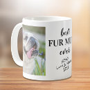 Search for furs Kitten