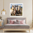 Recherche de appaloosa Nature