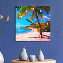 Search for tropical palm trees clocks Hawaii
