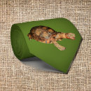 Recherche de tortue verte cravates Reptile