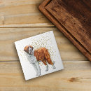 Search for bernard tiles Animal