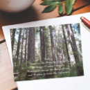 Search for sunlit postcards Tree
