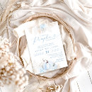 Search for pumpkin baby boy shower invitations Pampas grass