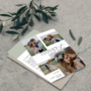 Search for happily ever after cards wedding announcement cards Hand lettered