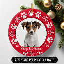 Search for cats first ornaments Simple