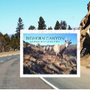 Search for bighorn sheep postcards Souvenir