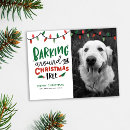 Search for dog photos postcards Funny
