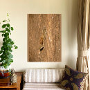 Search for tree trunk posters Animal