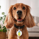Search for pineapple pet tags Summer