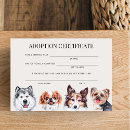 Search for pet adoption certificate Lets pawty