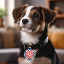 Search for diamond pet tags Pattern