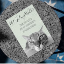 Search for feeling low cards Cat