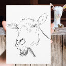 Search for draw postcards Minimalist