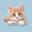 Search for blue eyed electronics Kitty