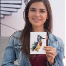 Recherche de roadrunners cartes postales Désert