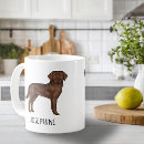 Search for chocolate lab mugs Illustration
