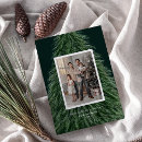 Search for pine trees christmas cards Winter forest