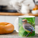 Search for cedar waxwing mugs Nature