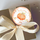 Search for cute little pumpkin stickers Orange