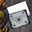 Search for widow postcards Halloween