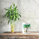 Recherche de cocotier tasses Île