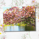 Search for cherry blossom postcards Park