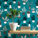 Recherche de plantes m art Cactus