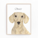 Recherche de lisse posters Chien