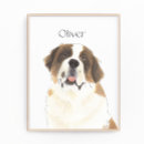 Recherche de st bernard posters Saint