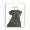 Recherche de schnauzer art Dog