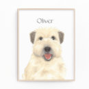 Recherche de balai posters Terrier