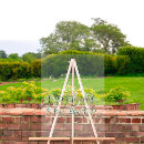 Recherche de eucalyptus wedding signs Accueil