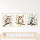 Search for brown owl posters Watercolor