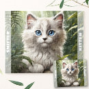 Search for ragdoll cat puzzles Kitten