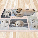Search for cats pink blankets For pets