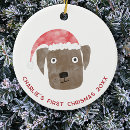 Search for brown dog ornaments Animal lover