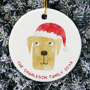 Search for yellow labrador ornaments Pet