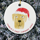 Search for yellow labrador ornaments Fun