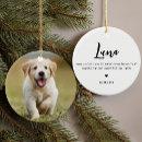 Search for quotes pet memorials Dog