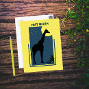 Search for zoo postcards Giraffe