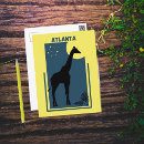 Search for zoo postcards Giraffe
