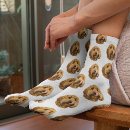 Recherche de photo socks Pet
