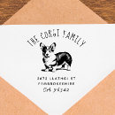 Recherche de corgi Corgi de pembroke