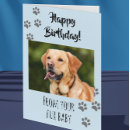 Recherche de com vœux cartes Chien