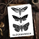 Search for schwarz Black and white